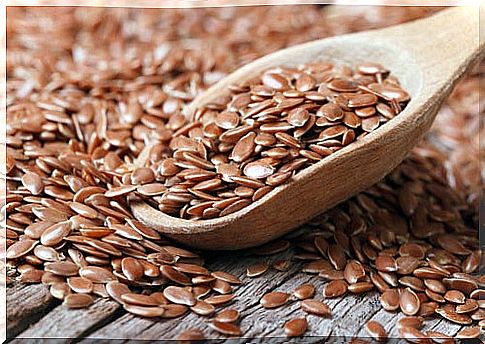 Spoon full of flaxseed, a remedy to combat colitis 