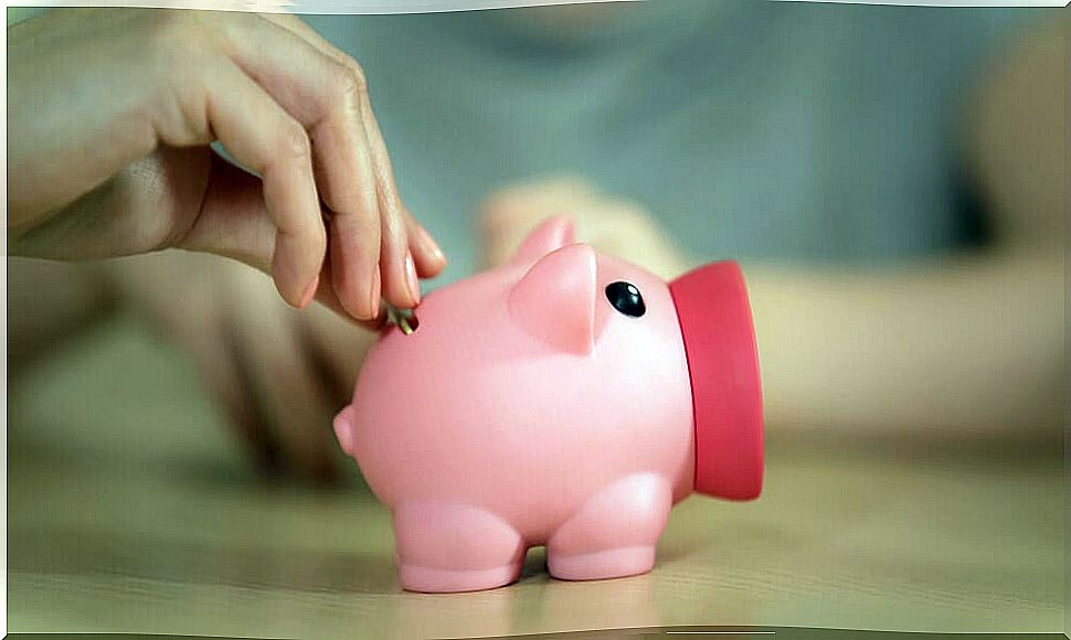 Piggy bank.