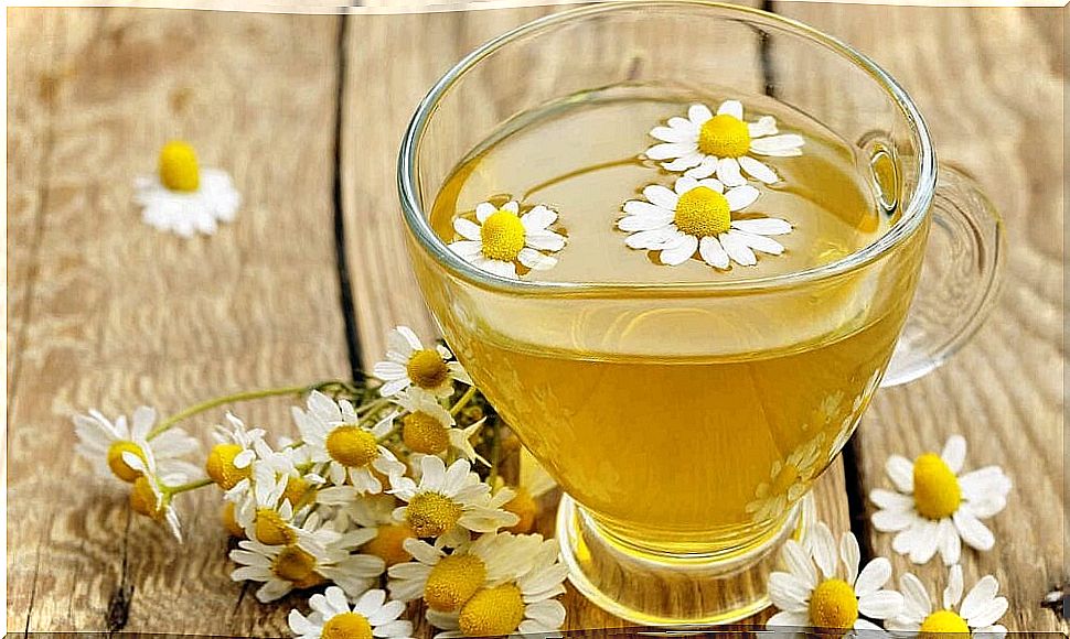 tea-and-chamomile-flowers