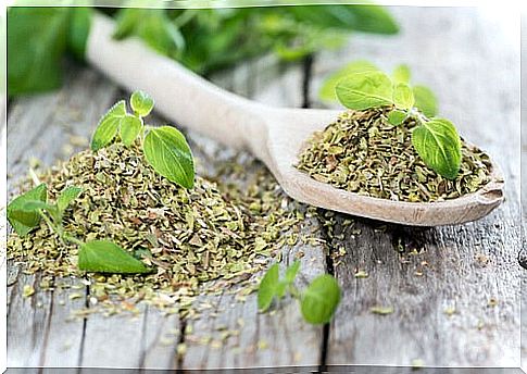 Oregano - treat superficial wounds with natural antiseptics