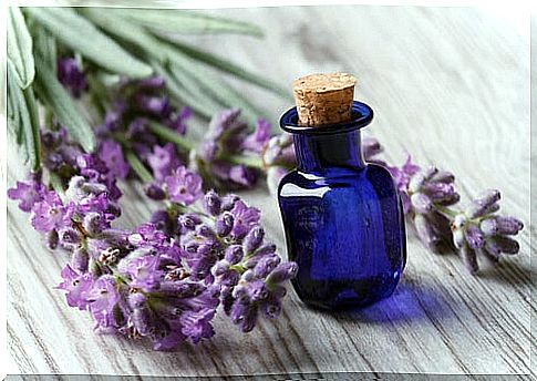 Lavender essential oil - treat superficial wounds with natural antiseptics
