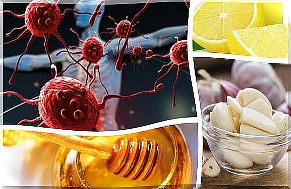 How to strengthen the immune system with natural supplements