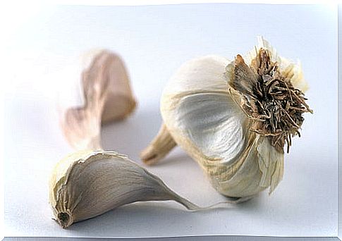 morberg garlic