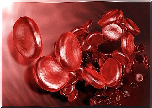 Increase red blood cells
