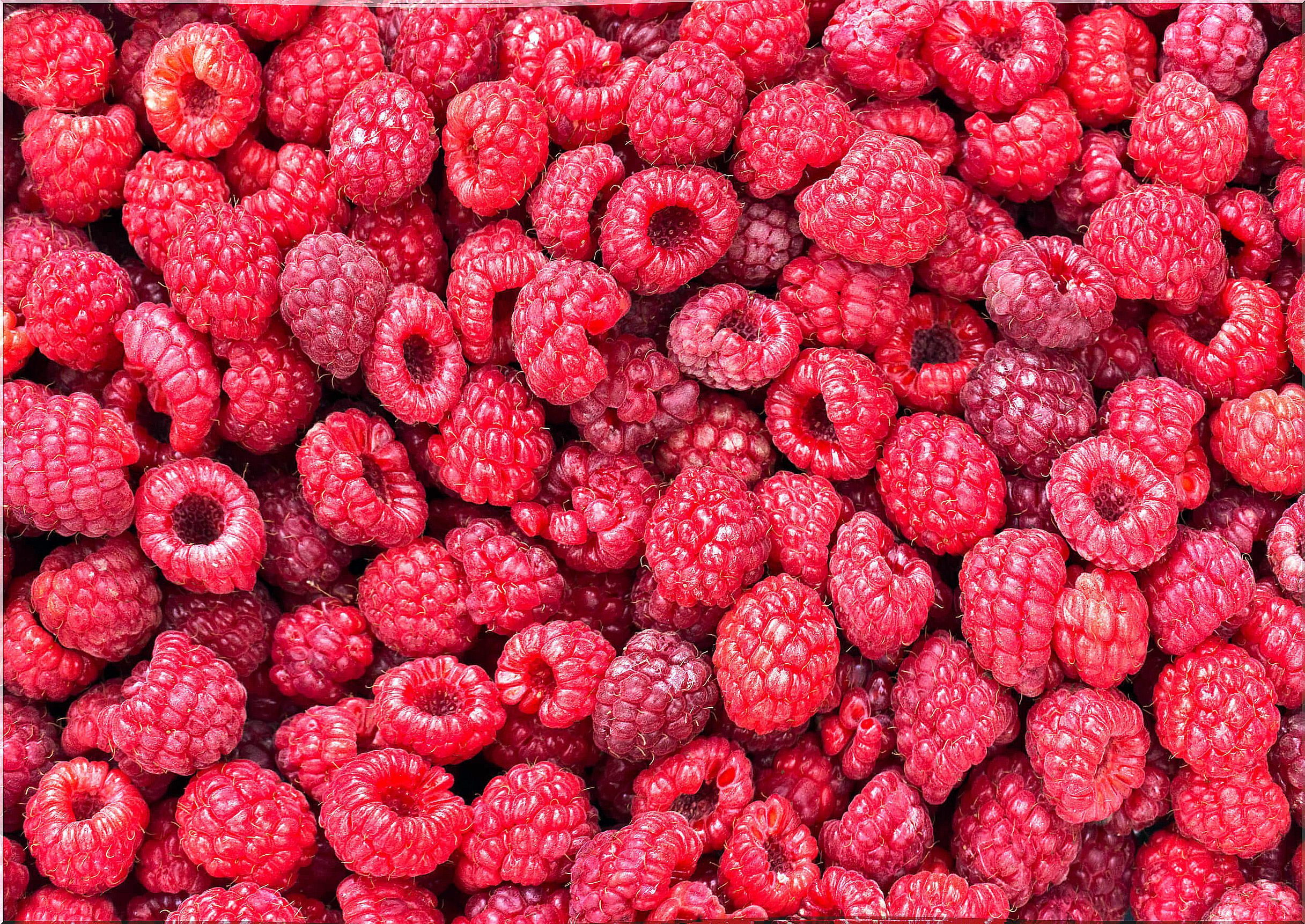 Raspberries: discover how to use them in your diet