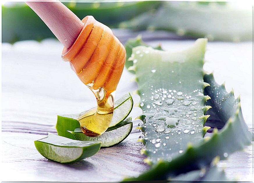 Aloe vera juice and honey