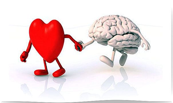 heart-and-brain