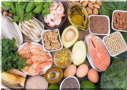 Food rich in omega 3 fatty acids
