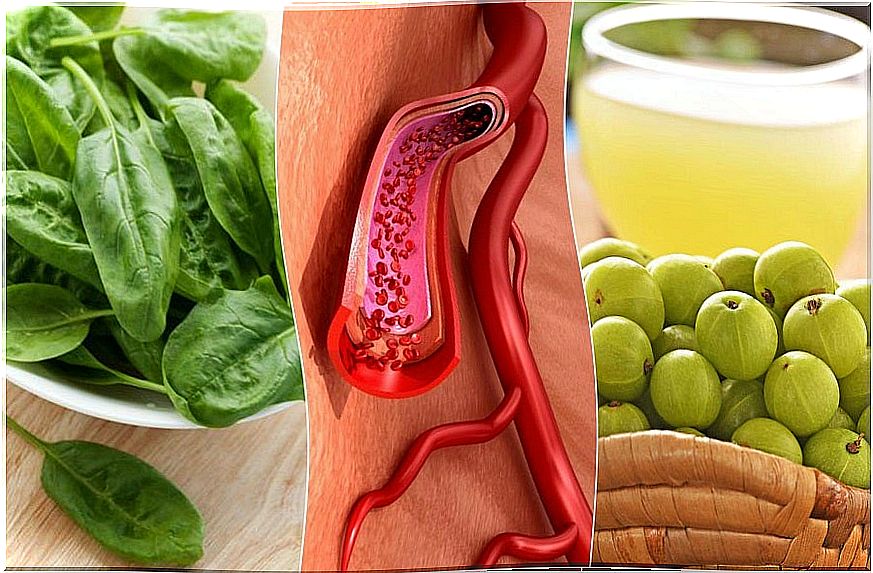 The best foods to increase platelets