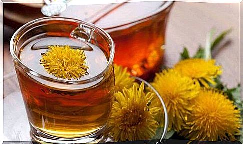 Dandelion is a plant known for its beneficial properties for kidney function