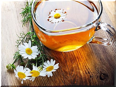 Chamomile treatment for bladder, urethral, ​​and kidney infections