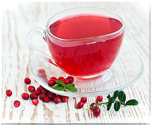 Cranberry Treatment for Bladder, Urethra, and Kidney Infections