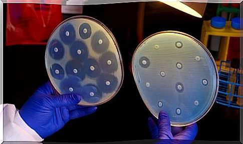 Multi-resistant bacteria due to misuse of antibiotics